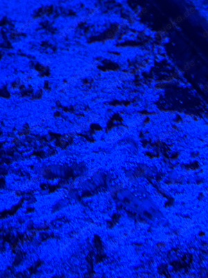 Meerwasser Fische Salzwasser Fisch Korallen Blumen Tiere Aquarstik Bild 7