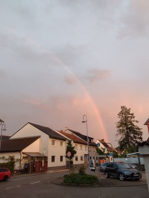 Wohnung in St.Leon-Rot gesucht