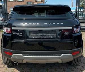 Land Rover Range Rover Evoque RANGE ROVER EVOQUE PURE-4x4-NAVI-SHZ-LEDER-KAMER Bild 5