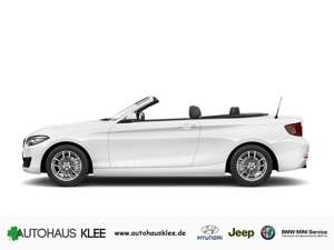 BMW 218 i Sport Line Cabrio EU6d Navi LED Mehrzonenk Bild 2