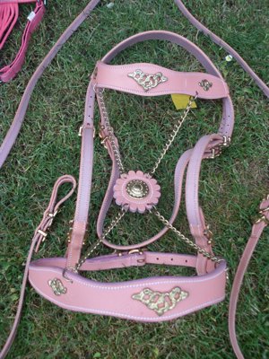 Schicke Trense + Vorderzeug FULL in Rosa-Gold als SET Schönes Set im spanischen Stil:  Bild 6