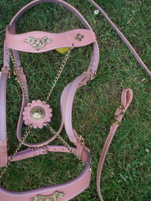 Schicke Trense + Vorderzeug FULL in Rosa-Gold als SET Schönes Set im spanischen Stil:  Bild 8