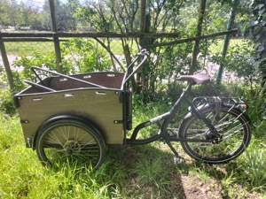 Adore Cargo E-Bike Bike