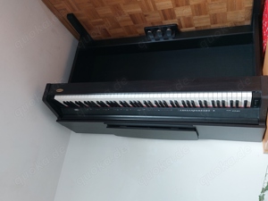 Classic Cantabile Digitalpiano DP 210 Rosenholz mit 88 Tasten Metronom Klavier