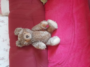 Sammler Teddy