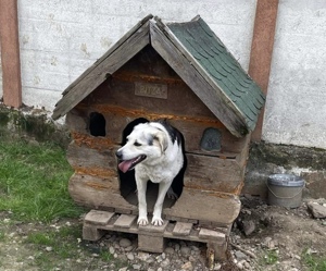 Zeigst du Silvan, dass das Leben auch schön sein kann? Bild 9