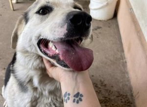 Zeigst du Silvan, dass das Leben auch schön sein kann? Bild 5