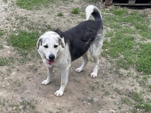 Zeigst du Silvan, dass das Leben auch schön sein kann? Bild 7