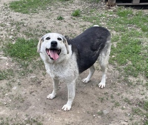 Zeigst du Silvan, dass das Leben auch schön sein kann? Bild 8