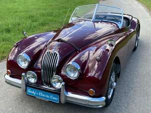 Jaguar XK 140 OTS Bild 4