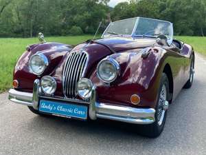 Jaguar XK 140 OTS Bild 3