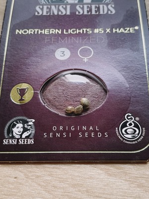 NEU OVP Sensi Seeds Northern Lights #5 x Haze Feminized 3 Samen Feminisiert Grow Bubatz Weed 