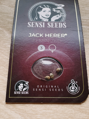 NEU OVP Sensi Seeds Jack Herer Feminized 3 Samen Feminisiert Grow Bubatz Weed 