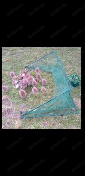 Vogelfalle 1m x 1m mit Fernbedinung Bird Trap Schlagnetz Falle 