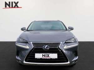 Lexus NX 300h Executive Line NAVI KAMERA LED SHZ KLIMA Bild 1