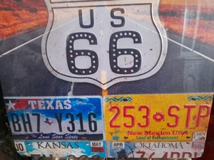 Blechschild Nummernschild Kennzeichen USA Highway neu