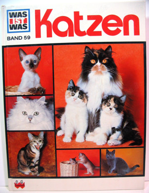 Buch - Was ist was - Katzen - Band 59 - ISBN 3788602996 - gut erhalten