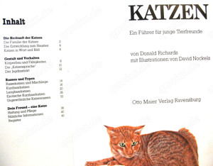 Buch - Katzen Ein Führer für junge Tierfreunde - Ravensburger - gut erhalten Bild 4