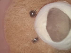 Teddybär sehr süß
