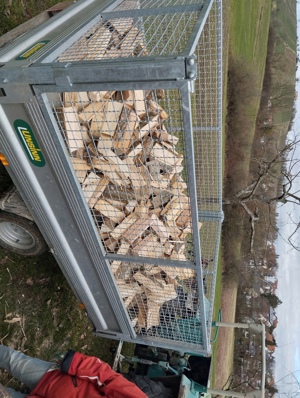 Sehr trockenes Brennholz nur Hartholz