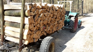 Sehr trockenes Brennholz Kaminholz Bild 9