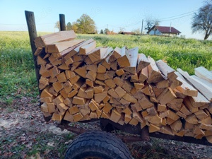 Brennholz nur Hartholz sehr trocken Bild 7