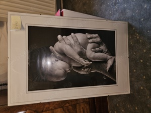 Bilder gerahmt von Anne Geddes Bild 5