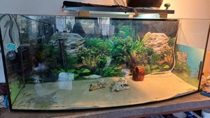 Aquarium mit Panoramablick 