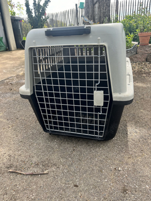 Flugtransportbox  Autobox für mittelgr. Hunde