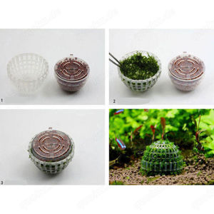 Moosbälle mit oder ohne Moos Bild 4