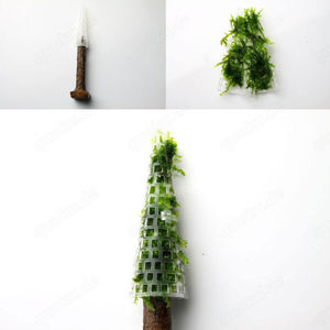 Moosbäume mit oder ohne Moos Bild 2