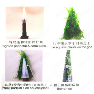 Moosbäume mit oder ohne Moos Bild 9