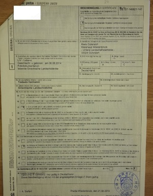 Zuchtgruppe Testudo hermanni boettgeri (Thb), 1.5 Bild 8