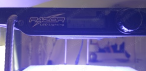 Meerwasseraquarium 150 Liter Bild 4