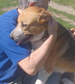 Buddy - hofft auf ein Happy-Home  Bild 8