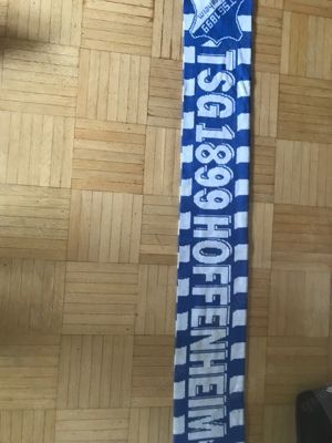 TSG Hoffenheim Schal