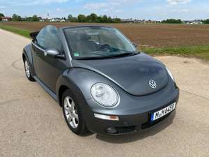 Volkswagen New Beetle New Beetle Cabriolet 1.6 Freestyle