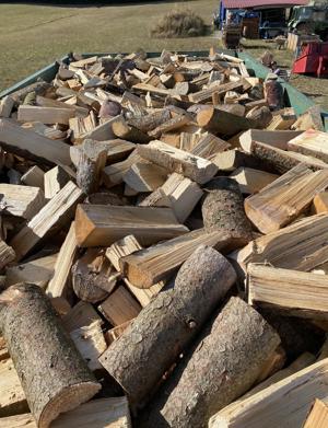 Brennholz Feuerholz Weichholz Holz - aus eigenem Wald - PEFC Bild 2