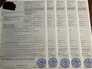 Griechische Landschildkröten thb. NZ 2023 mit EU Bescheinigungen Bild 2