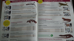 Katalog 24 von M&S Reptilien  Bild 3