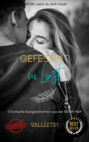 Gefesselt in Lust (epub)