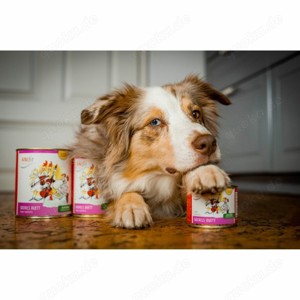 Anifit Futterprobe, natürliches & artgerechtes Hundefutter