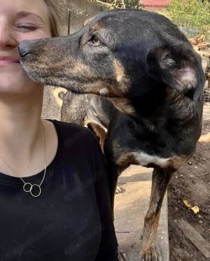 Schüchterne Liri - freundlich & verschmust Bild 2