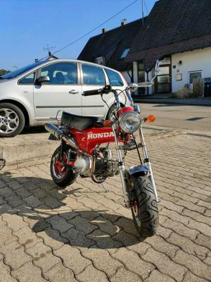 Honda Dax ST70 mit 125er Motor TOP Zustand