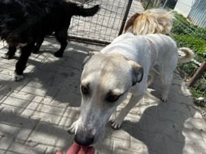 Monty sucht seine Familie Bild 3