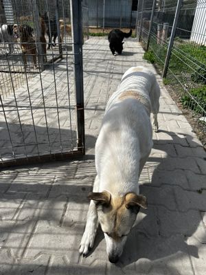 Monty sucht seine Familie Bild 6