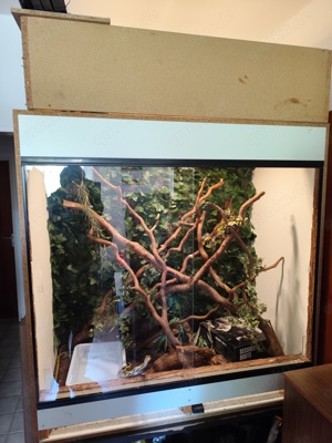 Holzterrarium zu Verkaufen