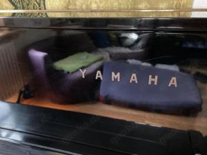 Yamaha U1 Konzertklavier direkt vom Klavierstimmer