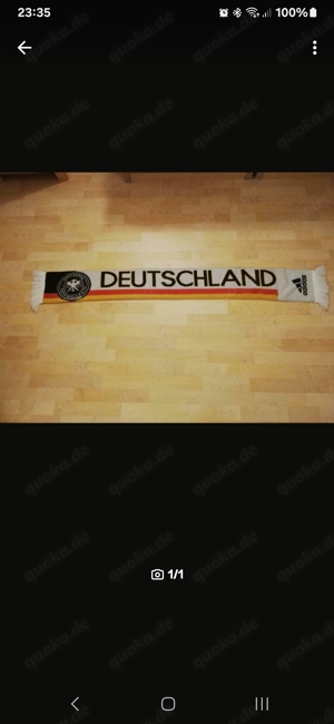 DFB Fan Schal 