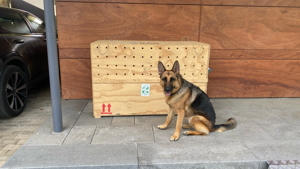 Hundetransportbox